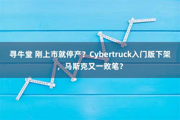 寻牛堂 刚上市就停产？Cybertruck入门版下架，马斯克又一败笔？