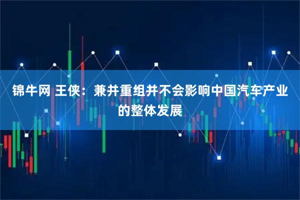 锦牛网 王侠：兼并重组并不会影响中国汽车产业的整体发展