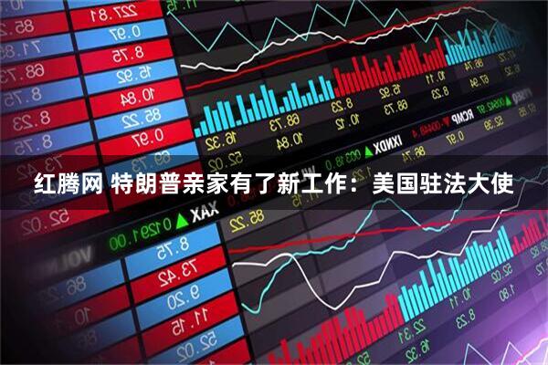 红腾网 特朗普亲家有了新工作：美国驻法大使