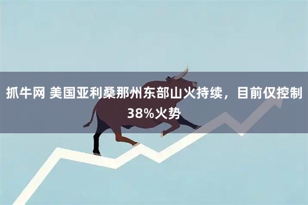抓牛网 美国亚利桑那州东部山火持续，目前仅控制38%火势