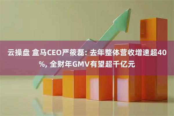云操盘 盒马CEO严筱磊: 去年整体营收增速超40%, 全财年GMV有望超千亿元