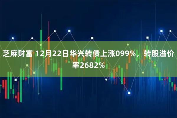 芝麻财富 12月22日华兴转债上涨099%，转股溢价率2682%