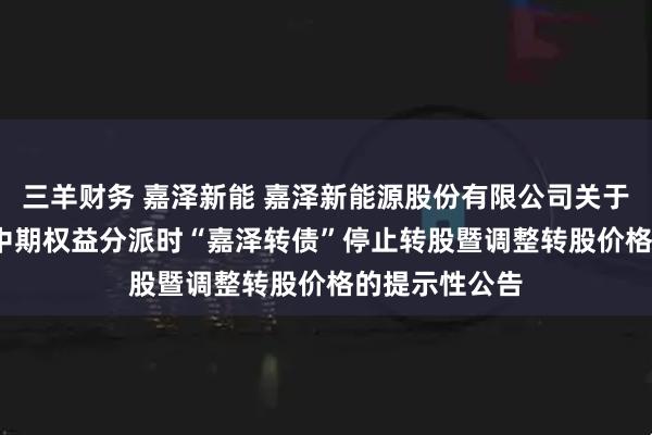 三羊财务 嘉泽新能 嘉泽新能源股份有限公司关于实施2025年中期权益分派时“嘉泽转债”停止转股暨调整转股价格的提示性公告