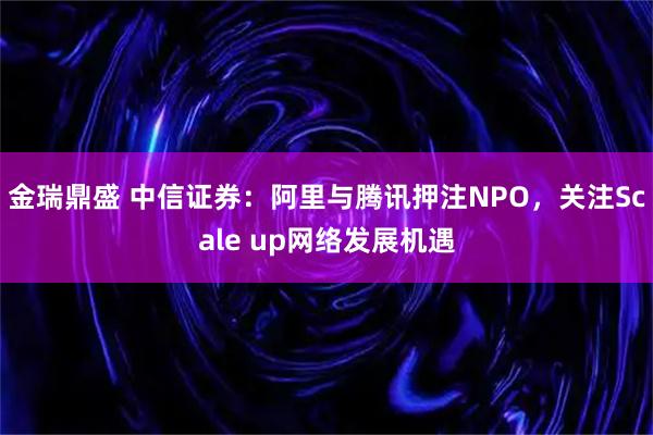 金瑞鼎盛 中信证券：阿里与腾讯押注NPO，关注Scale up网络发展机遇