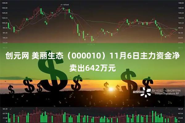 创元网 美丽生态（000010）11月6日主力资金净卖出642万元